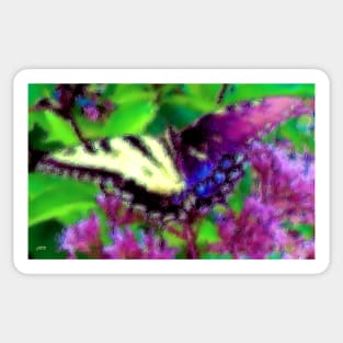 Gynandromorph Butterfly Sticker